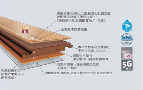 實木地板種類|木地板選購指南｜SPC地板、超耐磨地板、實木地板比